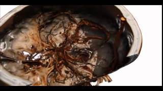 Animation created from a head CT by using ORS Visual Pro