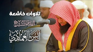 ترتيل بديع وخشوع من سورة الأنعام بصوت الشيخ أنس العمادي | عشاء 19-8-1446 هـ