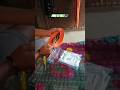 #dj mini ka belt #setup dj #youtubeshorts #nn King mafia no1#automobile
