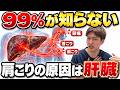 【重い肝臓解消】女性のしつこい肩こり・首こり・頭痛が消える7日間プログラム。自律神経整い睡眠の質まで上がる