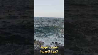 صيره