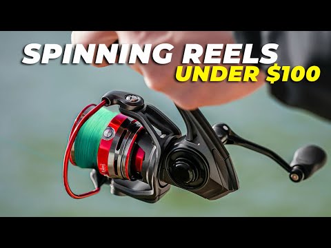 Best Spinning Reel Under $100 - YouTube Best Spinning Reel Under $100 - YouTube