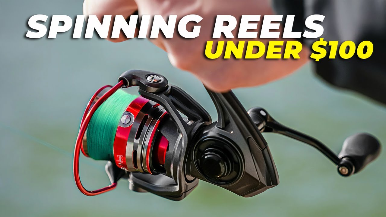 Лучшая спиннинговая катушка до 100 долларов