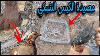 صيد الحجل بالكيس الشبكي  طريقة رائعة وسهلة. Partridge hunting with the net