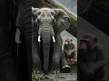 mander🙉 or hathi 🦣ki mehnat #shortvideo