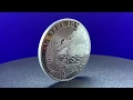 ランダムイヤー (新品) 31.1グラム 純銀 アルメニア・ノアの箱舟・1オンス・純銀貨