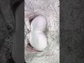 Love Shape Chalk ASMR Crush #shorts #trending #asmr