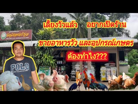 เลี้ยงวัวแล้ว อยากเปิดร้านขายอาหารวัว และอุปกรณ์การเกษตร#ต้องทำไง???#