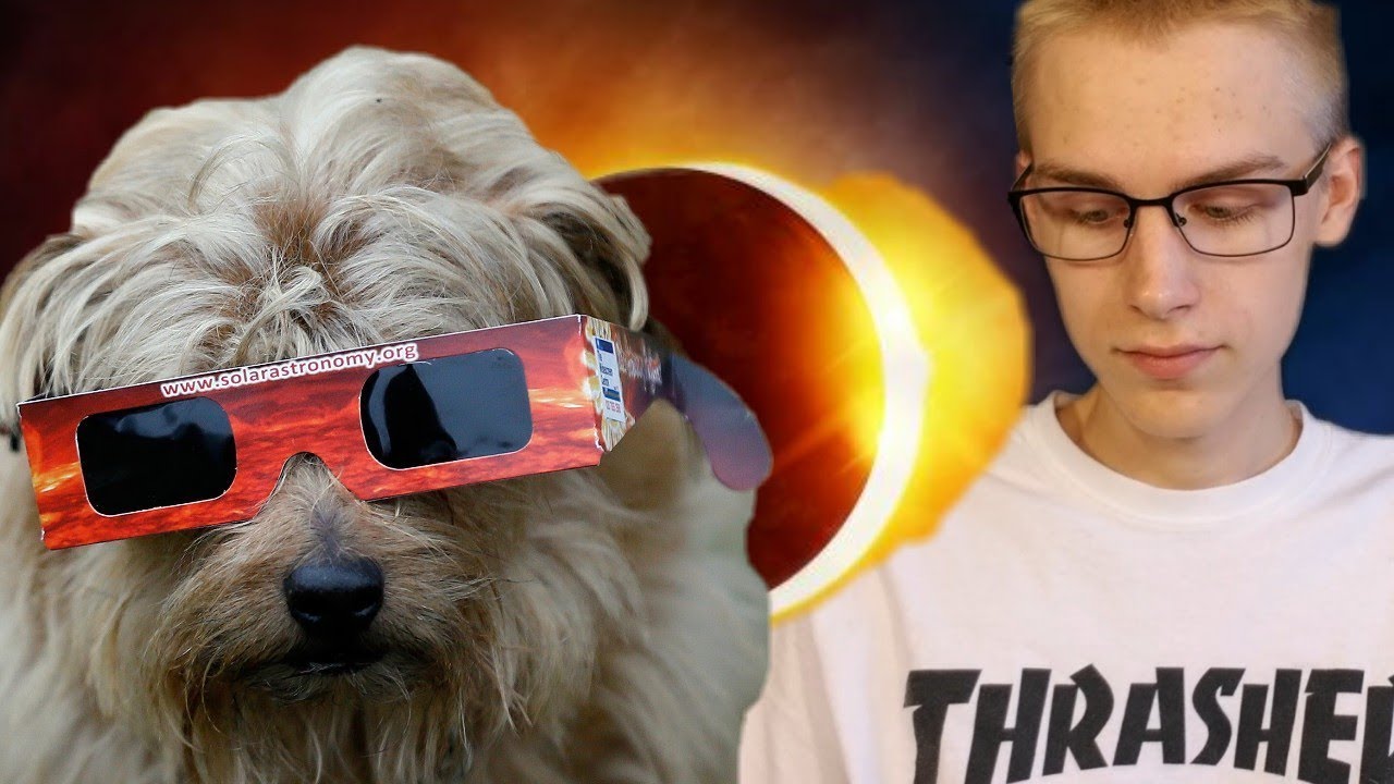 vlogs in spanish Pets and the Eclipse: What You Need to Know (2017 ECLIPSE)