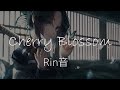 【 HD / R&amp;B 】 Cherry Blossom  - Rin音 - 【韓日字幕 / 한일자막】