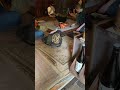 【JAPAN 】The grilled char over charcoal fire in 10 seconds