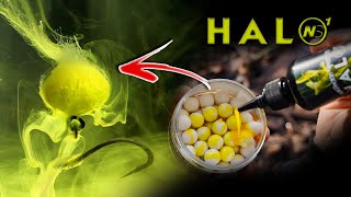 Why I Use HALO- We ask top CC Moore anglers 🤔 NEW PRODUCT 🚨