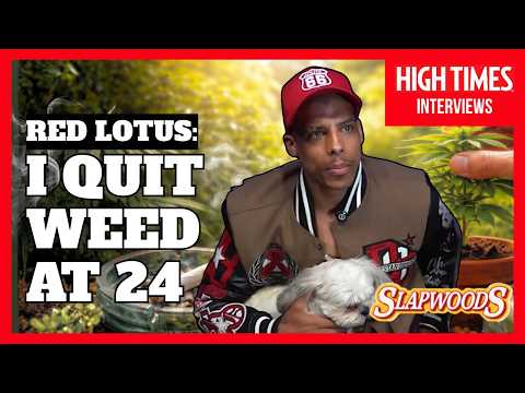 RED LOTUS: "I GROW WEED BUT I DON'T SMOKE IT" | Spitfire with Shirley Ju