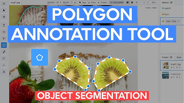 How To Use Polygon Image Annotation Tool For Object Segmentation in Computer Vision | Supervisely