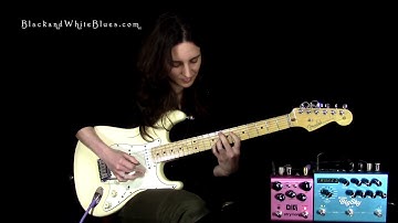 Strymon Dig & BigSky - 2