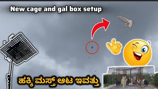 New Jalbox and cage setup of Pegions in Kannada ||Prince loft||￼ ￼ಇವತ್ತು ಹಕ್ಕಿಏನ್ ಮಾಡ್ತು ನೋಡಿ 👀🕊️