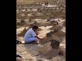 सऊदी अरब की 3 सबसे खूबसूरत  जगहें #viral