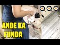 This Pug is crazy about EGGS🥚 | Simba's Pug Life