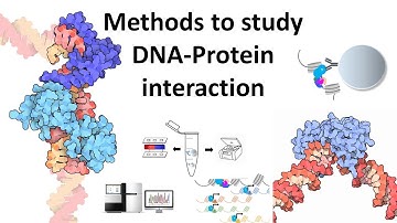 Techniques to study DNA protein interaction