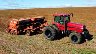 Case 8940 + Kuhn SDE na semeadura de AVEIA - Fazenda Ressaca - Ponta Grossa - PR