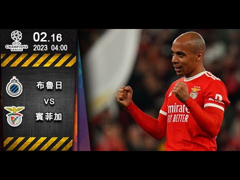 【歐冠-賽前分析】2023-02-16 布魯日 VS 賓菲加 | 賓菲加必勝布魯日 [聲音報導: Jojo]