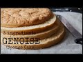 Easy Genoise Recipe || How to make Genoise || 3 ingredients Sponge Cake