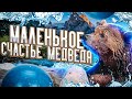 Маленькое счастье у медведя. / Water slide for bear