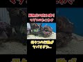 鮮魚店で売れ残っていたタコがとんでもないことに...！！ #アクアリウム #鮮魚スーパー #shorts #水槽 #aquarium