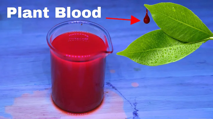 When Green is Red—Making Plants Bleed - DayDayNews