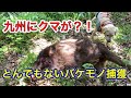 あわや3人組の女性観光客に被害!すぐ近くに潜む巨大イノシシの捕獲に成功!