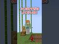 大きい宝物と小さい宝物どっちをえらぶ?#マイクラ #マインクラフト #minecraft