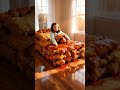 ASMR Which Bed Would You Sleep In Berry Pie Marshmallow Fried Chicken Relaxation Asmr