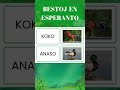 Bestoj en Esperanto #shorts