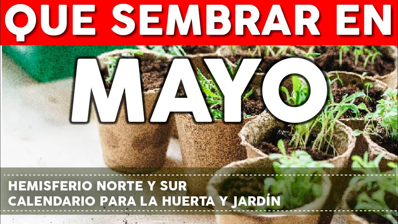 Calendario de Siembra 2023: Que sembrar en MAYO en el Huerto-INICIO de Oto�o e INICIO de PRIMAVERA