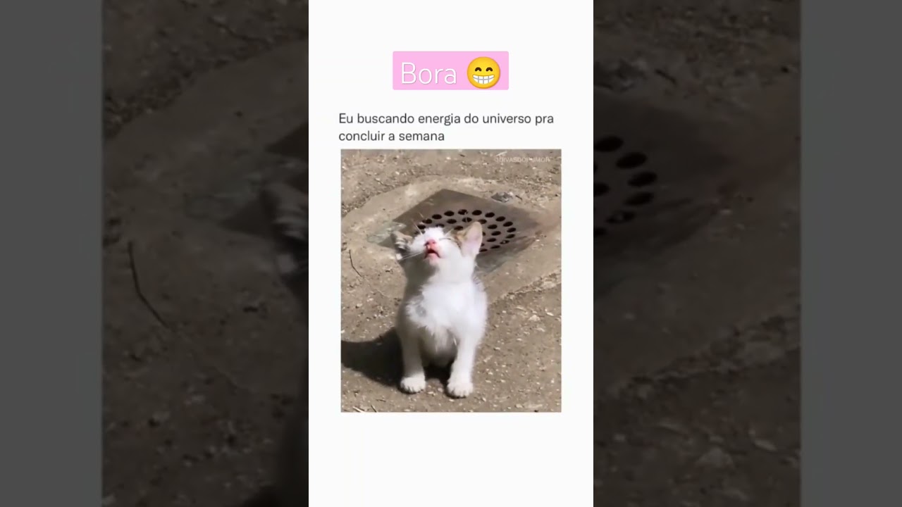 Desse Jeito: Reading a Seven-Second Holistic Therapy Short