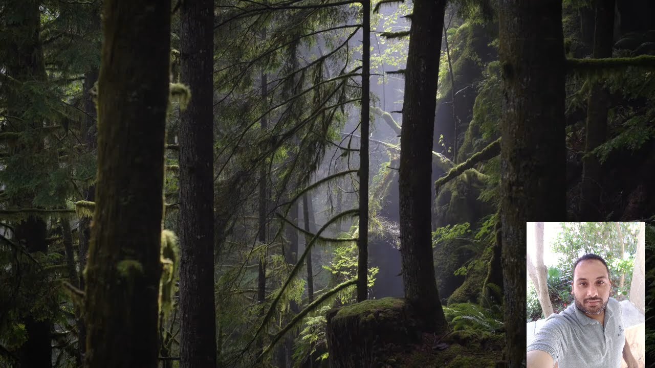 الشيخ محمد الطنطاوى مقطع سورة لقمان