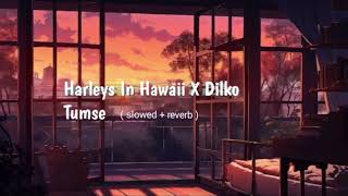 Harleys In Hawaii X Dilko Tumse Pyar Hua Lofi Ss New Mashups 2025 Resimi