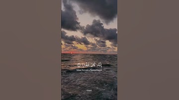 فقلت استغفروا ربكم انه كان غفارا 💙| سورة نوح | شريف مصطفى