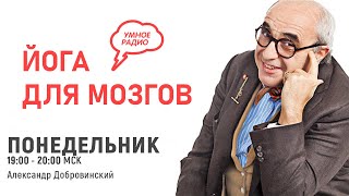 Йога для мозгов, 02.11.20,  История отравления Александра Литвиненко