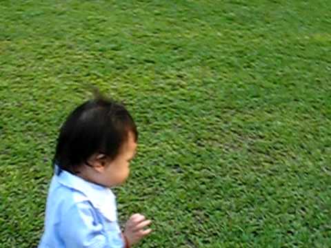 敢摸貓不敢摸草地的喵.avi