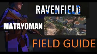 Ravenfield FIELD GUIDE screenshot 4