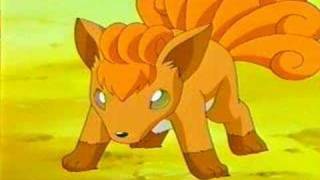 Vulpix And Growlithe - Now Your Gone