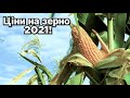 Ціни на зерно на Новий 2021 рік! Соняшник летить в космос!!! Коли продавати зерно?