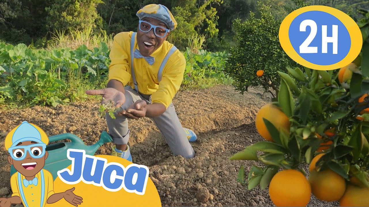 Juca planta e colhe alimentos em uma horta 🍊 HORA DO JUCA BRASIL! | Vídeos Educativos para Crianças