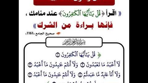  قُل لِّلْمُؤْمِنِينَ يَغُضُّوا مِنْ أَبْصَارِهِمْ وَيَحْفَظُوا فُرُوجَهُمْ.آيات مكررة .حمزة بو ديب.