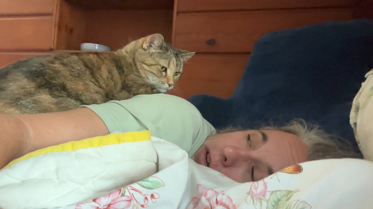 Майло, мы собираемся всех проведать.