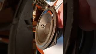 Paradigm Titan Speaker Refoam