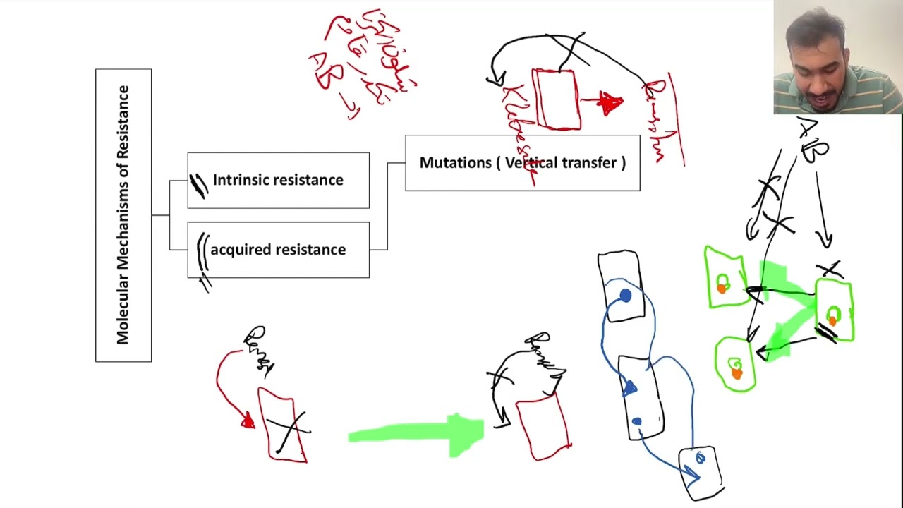 S8 L1. Antimicrobial Resistance and Stewardship