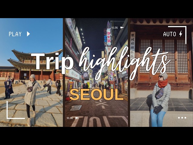 Trip Highlights: Seoul, South Korea