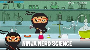 Welcome to Ninja Nerd Science!